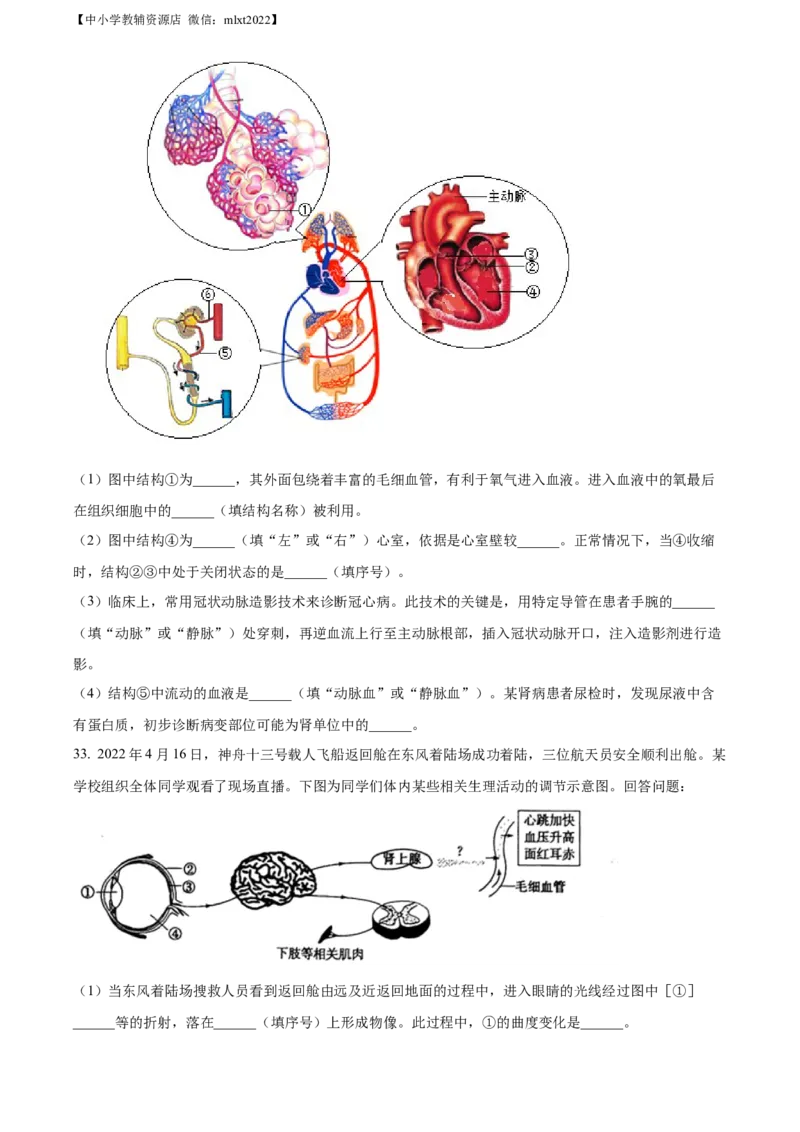精品解析：2022年山东省日照市中考生物真题（原卷版）_中考真题_8.生物中考真题2015-2024年_2022年全国中考生物114份14