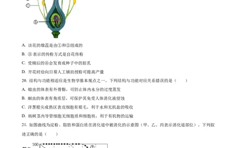 精品解析：2022年山东省日照市中考生物真题（原卷版）_中考真题_8.生物中考真题2015-2024年_2022年全国中考生物114份14