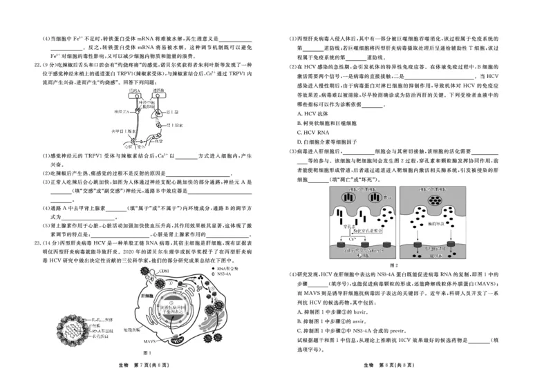 生物_2024届河北衡中同卷高三1月考试_河北衡中同卷2024届高三1月考试生物