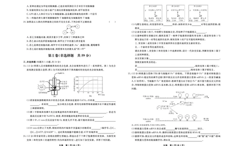 生物_2024届河北衡中同卷高三1月考试_河北衡中同卷2024届高三1月考试生物