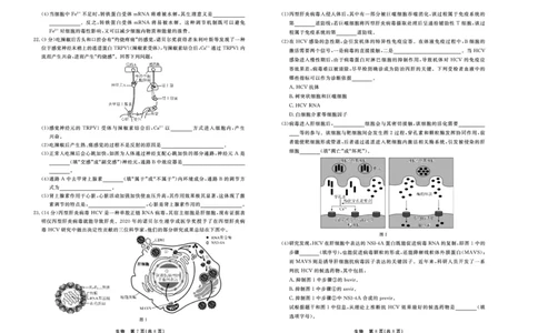 生物_2024届河北衡中同卷高三1月考试_河北衡中同卷2024届高三1月考试生物