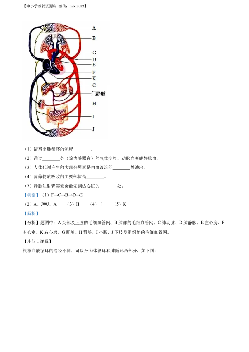 精品解析：2022年湖南省娄底市中考生物真题（解析版）_中考真题_8.生物中考真题2015-2024年_2022年全国中考生物114份14