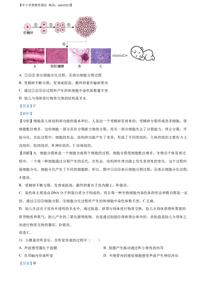 精品解析：2022年湖南省娄底市中考生物真题（解析版）_中考真题_8.生物中考真题2015-2024年_2022年全国中考生物114份14