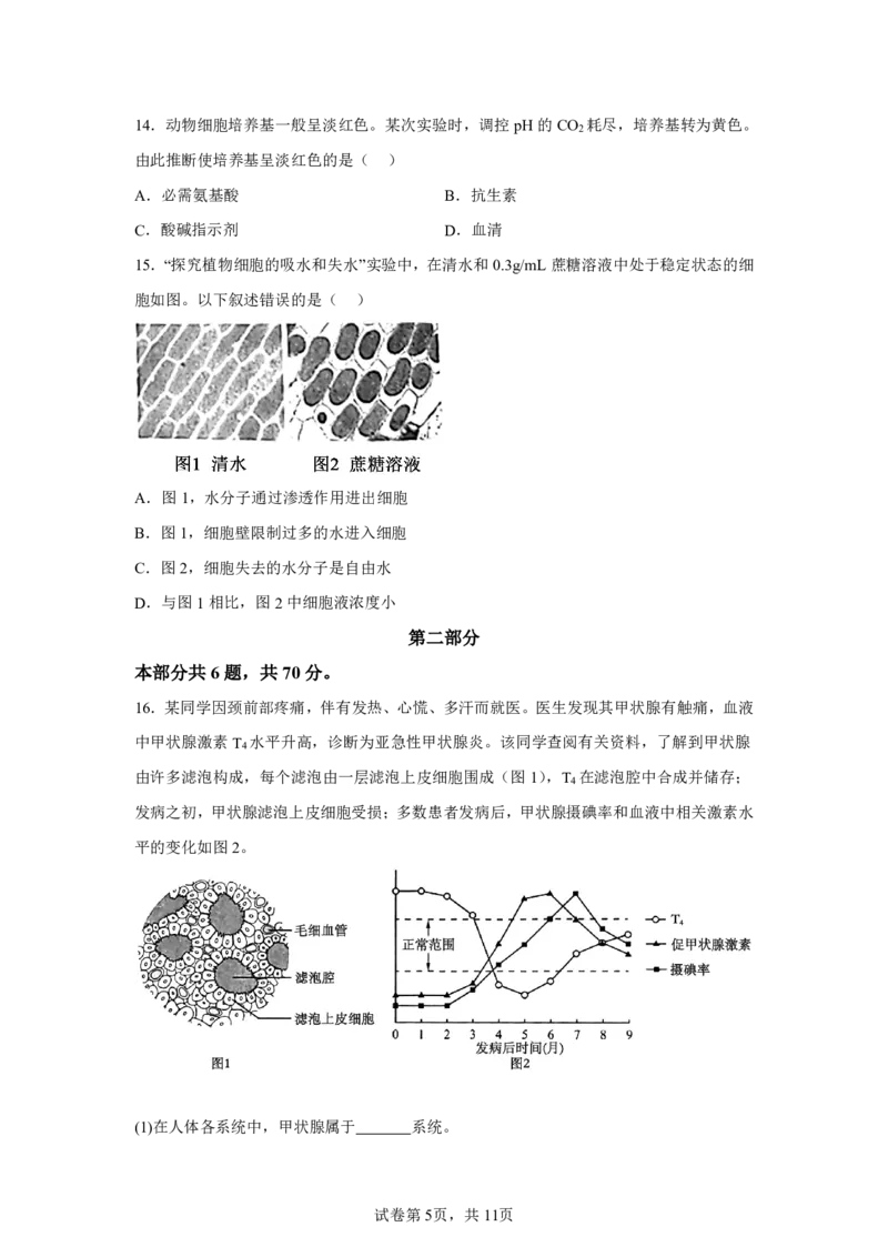 北京2025年高考北京生物高考真题文档版_1.高考2025全国各省真题+答案_00.2025各省市高考真题及答案（按省份分类）_1、北京卷（9科全）_9.生物