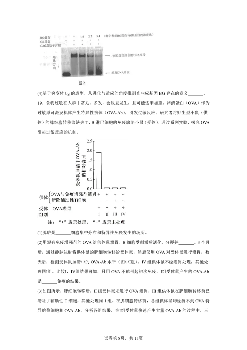 北京2025年高考北京生物高考真题文档版_1.高考2025全国各省真题+答案_00.2025各省市高考真题及答案（按省份分类）_1、北京卷（9科全）_9.生物
