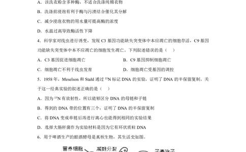 北京2025年高考北京生物高考真题文档版_1.高考2025全国各省真题+答案_00.2025各省市高考真题及答案（按省份分类）_1、北京卷（9科全）_9.生物