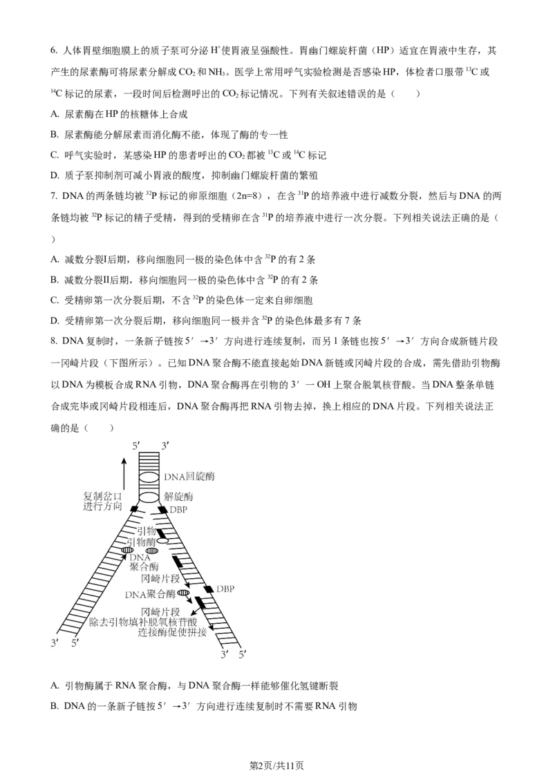 精品解析：2024届山东省潍坊市昌乐一中学高三模拟预测生物试题（原卷版）_2024届山东省潍坊市昌乐一中学高三模拟预测_2024届山东省潍坊市昌乐一中学高三模拟预测生物