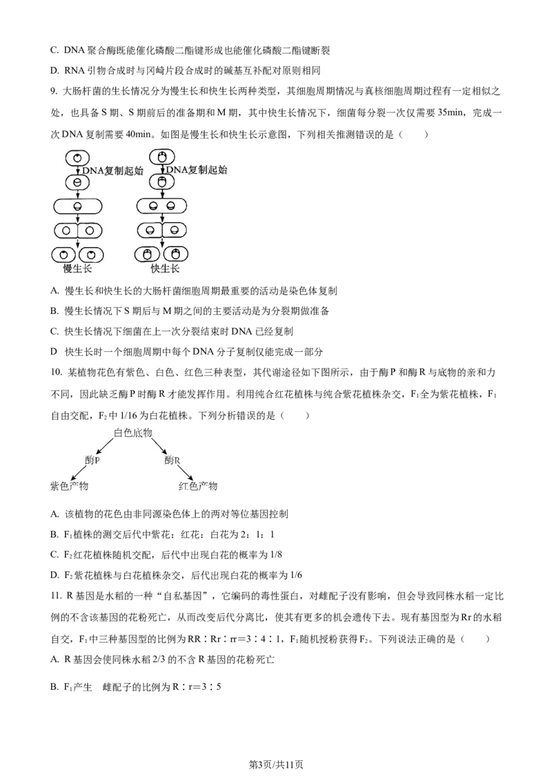 精品解析：2024届山东省潍坊市昌乐一中学高三模拟预测生物试题（原卷版）_2024届山东省潍坊市昌乐一中学高三模拟预测_2024届山东省潍坊市昌乐一中学高三模拟预测生物