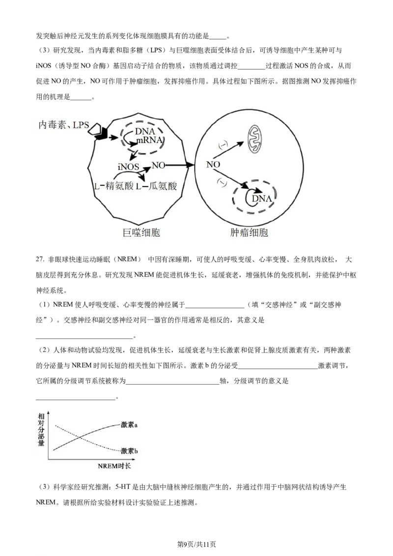 精品解析：2024届山东省潍坊市昌乐一中学高三模拟预测生物试题（原卷版）_2024届山东省潍坊市昌乐一中学高三模拟预测_2024届山东省潍坊市昌乐一中学高三模拟预测生物