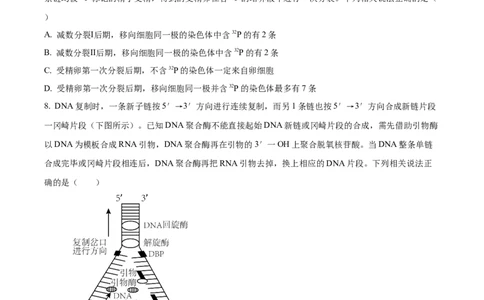 精品解析：2024届山东省潍坊市昌乐一中学高三模拟预测生物试题（原卷版）_2024届山东省潍坊市昌乐一中学高三模拟预测_2024届山东省潍坊市昌乐一中学高三模拟预测生物