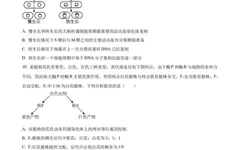 精品解析：2024届山东省潍坊市昌乐一中学高三模拟预测生物试题（原卷版）_2024届山东省潍坊市昌乐一中学高三模拟预测_2024届山东省潍坊市昌乐一中学高三模拟预测生物