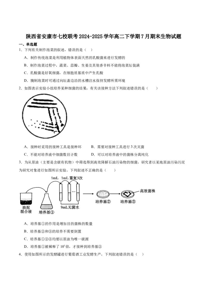 陕西省安康市七校2024-2025学年高二下学期7月期末联考生物学试卷（含答案）_2025年7月_250729陕西省安康市七校联考2024-2025学年高二下学期7月期末（全科）