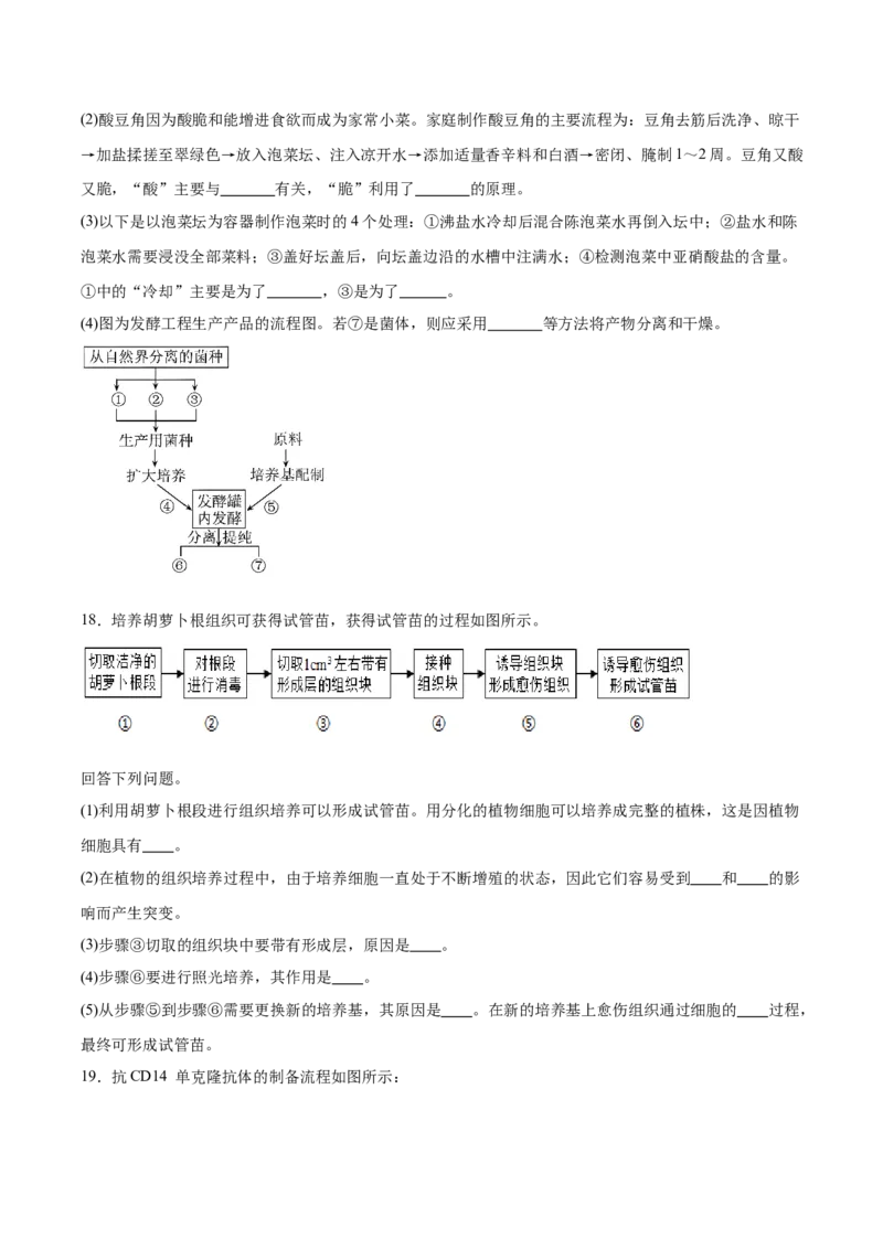陕西省安康市七校2024-2025学年高二下学期7月期末联考生物学试卷（含答案）_2025年7月_250729陕西省安康市七校联考2024-2025学年高二下学期7月期末（全科）