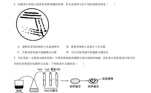 陕西省安康市七校2024-2025学年高二下学期7月期末联考生物学试卷（含答案）_2025年7月_250729陕西省安康市七校联考2024-2025学年高二下学期7月期末（全科）