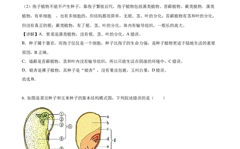 精品解析：2023年山东省临沂市中考生物真题（解析版）(1)_中考真题_8.生物中考真题2015-2024年_2023年全国中考生物7.20_精品解析：2023年山东省临沂市中考生物真题