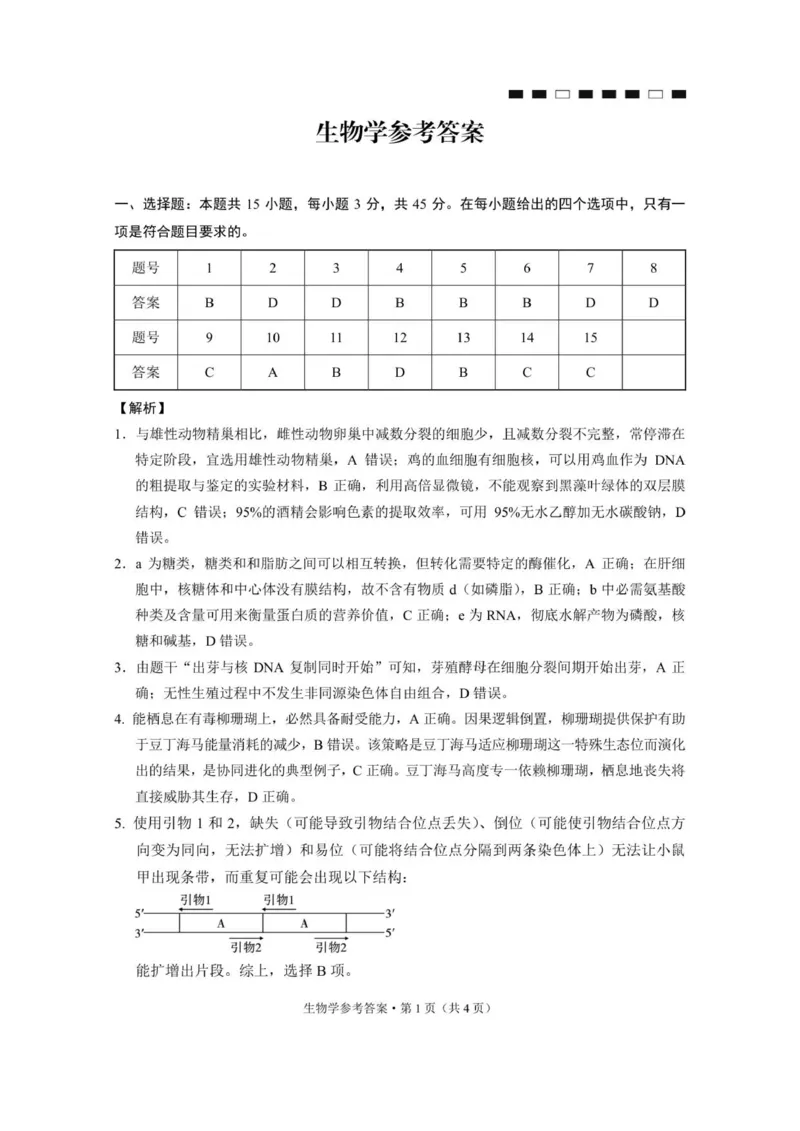 重庆八中（四）生物-答案_2025年12月_251220重庆市重庆八中2026届高三12月高考适应性月考卷（四）（全科）_重庆市第八中学校2025-2026学年高三上学期12月月考生物试题（含答案）