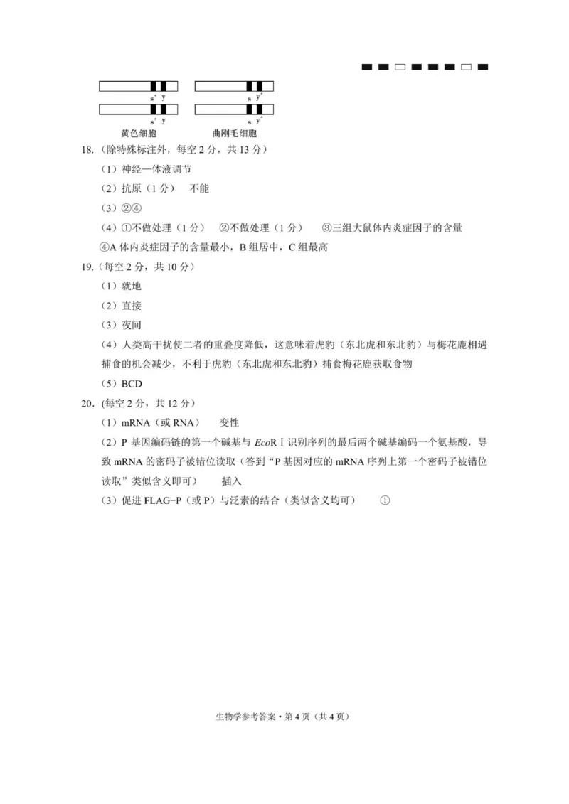 重庆八中（四）生物-答案_2025年12月_251220重庆市重庆八中2026届高三12月高考适应性月考卷（四）（全科）_重庆市第八中学校2025-2026学年高三上学期12月月考生物试题（含答案）