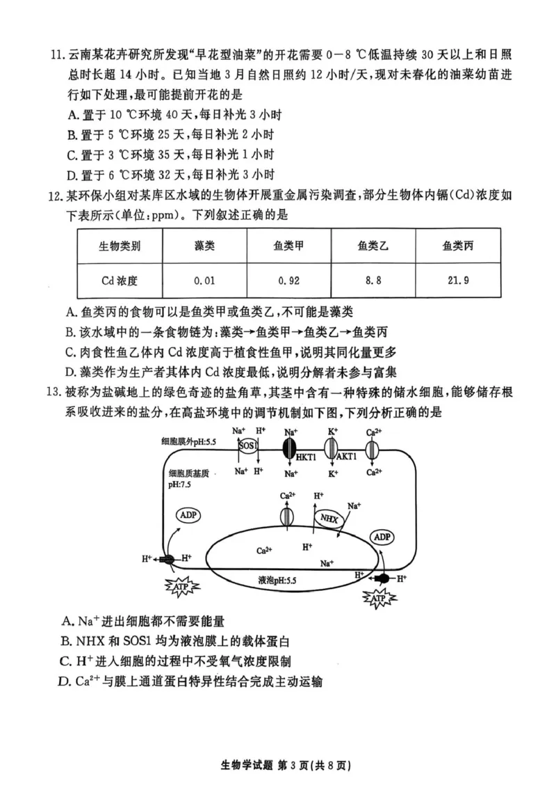 生物试卷-茂名市2024-2025高二下期末_2025年7月_250707广东省茂名市2024-2025学年高二下学期期末教学质量监测（全科）_广东省茂名市2024-2025学年高二下学期期末教学质量监测生物