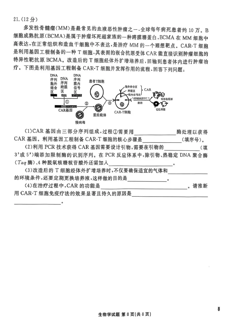 生物试卷-茂名市2024-2025高二下期末_2025年7月_250707广东省茂名市2024-2025学年高二下学期期末教学质量监测（全科）_广东省茂名市2024-2025学年高二下学期期末教学质量监测生物