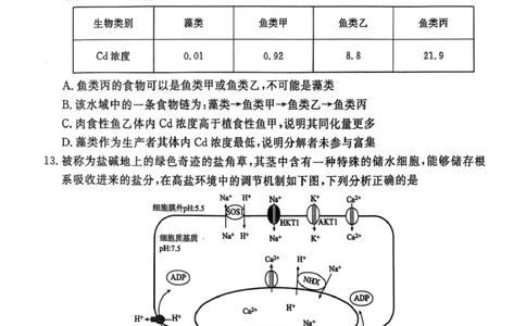 生物试卷-茂名市2024-2025高二下期末_2025年7月_250707广东省茂名市2024-2025学年高二下学期期末教学质量监测（全科）_广东省茂名市2024-2025学年高二下学期期末教学质量监测生物