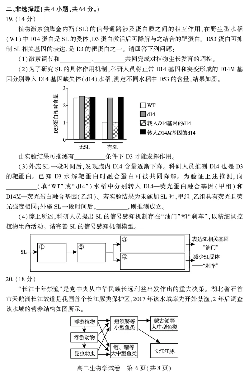 高二生物学_2025年7月_250715湖北省天门市2024-2025年7月高二期末统一调研测试（全科）