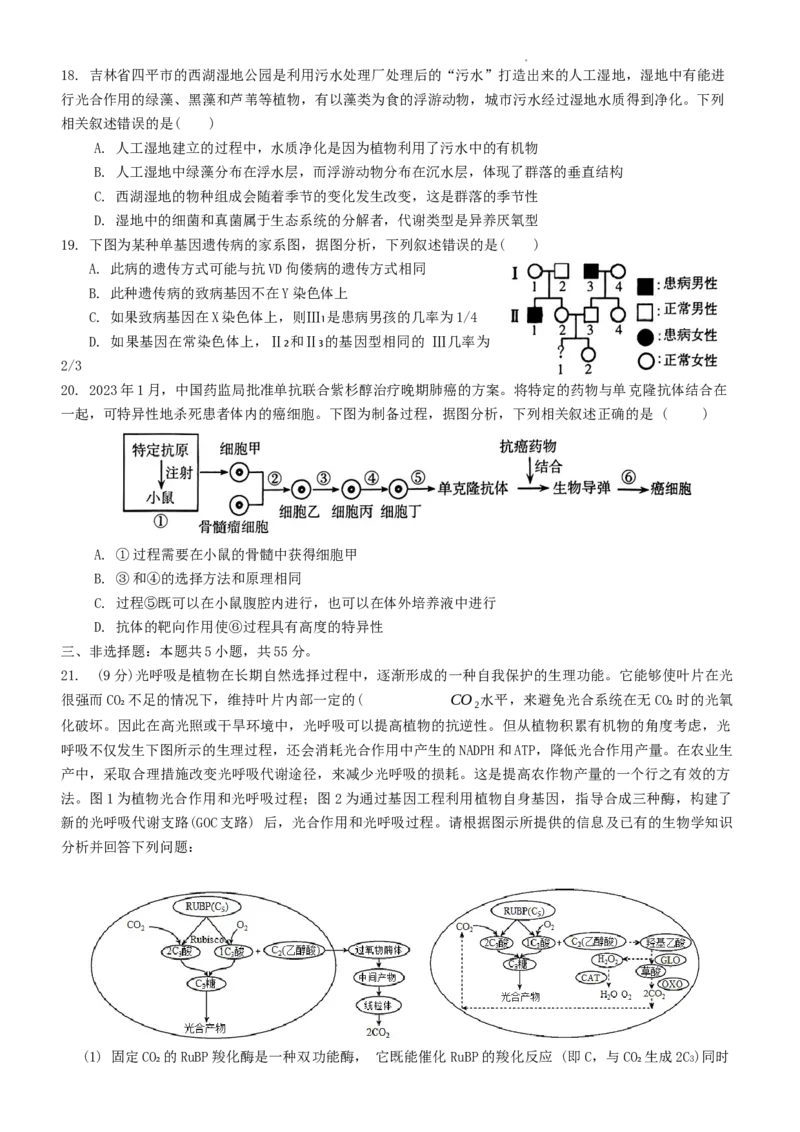 吉林省白山市2024届高三第一次模拟考试生物_2024届吉林省白山市高三第一次模拟考试