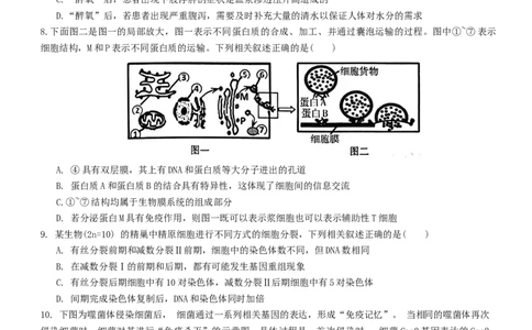 吉林省白山市2024届高三第一次模拟考试生物_2024届吉林省白山市高三第一次模拟考试