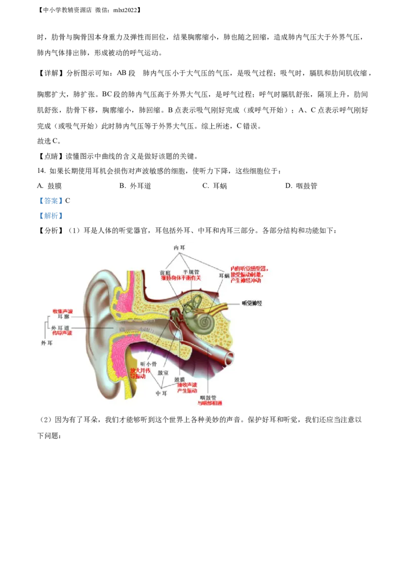 精品解析：2022年广西梧州市中考生物真题（解析版）_中考真题_8.生物中考真题2015-2024年_2022年全国中考生物114份14