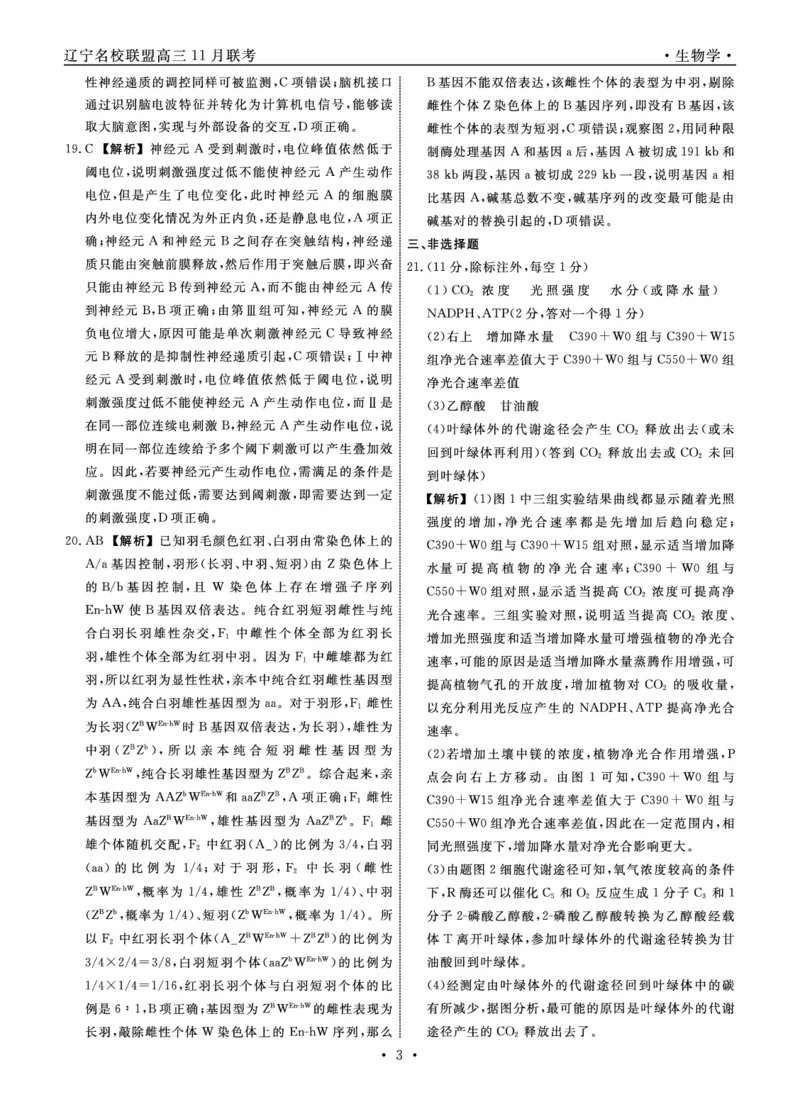 辽宁名校联盟高三11月联考生物答案_251111辽宁省名校联盟2025-2026学年高三上学期11月期中联合考试（全科）_辽宁名校联盟高三11月联考试题答案9科全