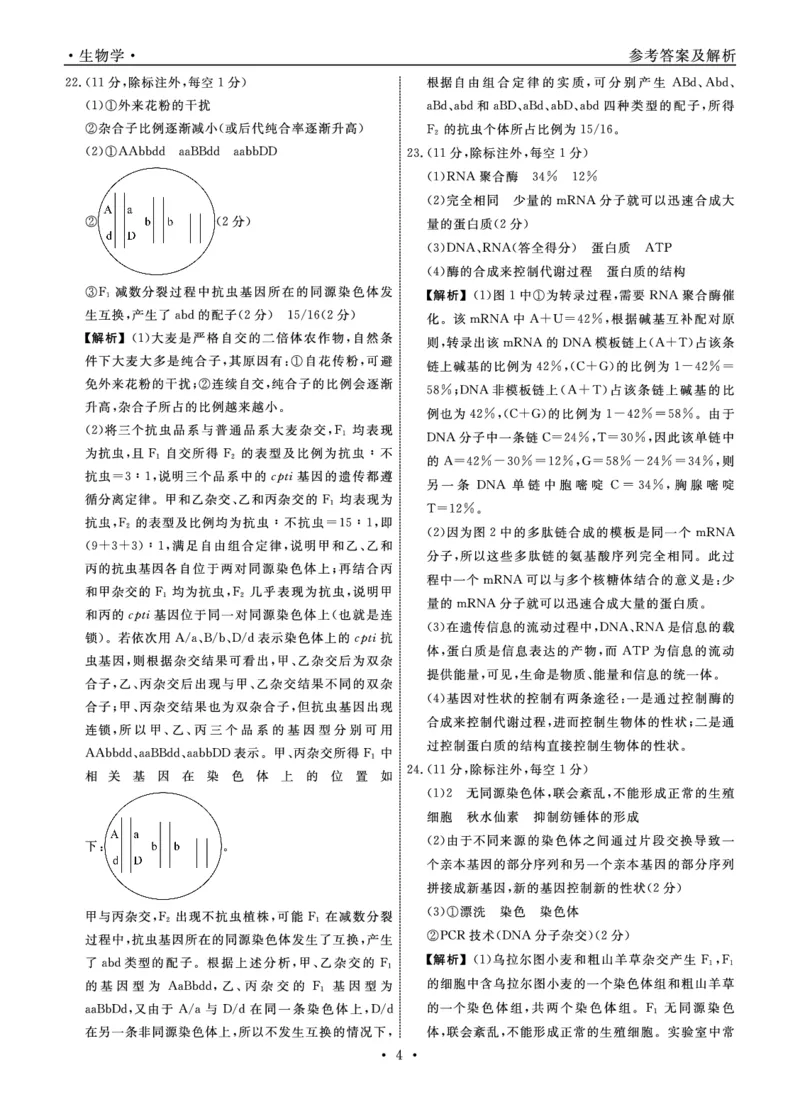 辽宁名校联盟高三11月联考生物答案_251111辽宁省名校联盟2025-2026学年高三上学期11月期中联合考试（全科）_辽宁名校联盟高三11月联考试题答案9科全