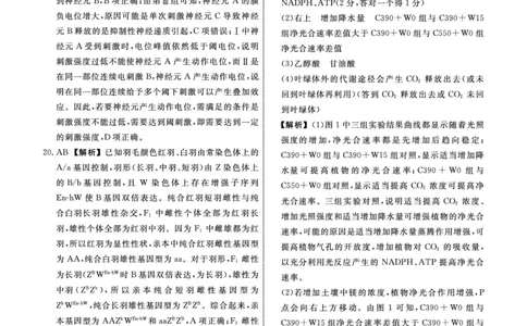 辽宁名校联盟高三11月联考生物答案_251111辽宁省名校联盟2025-2026学年高三上学期11月期中联合考试（全科）_辽宁名校联盟高三11月联考试题答案9科全