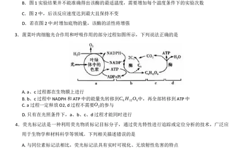 试卷_2025年12月_251201云南省昆明市第一中学2026届高三上学期第四次联考_2026届云南省昆明市第一中学高三上学期第四次联考生物试卷（含答案）
