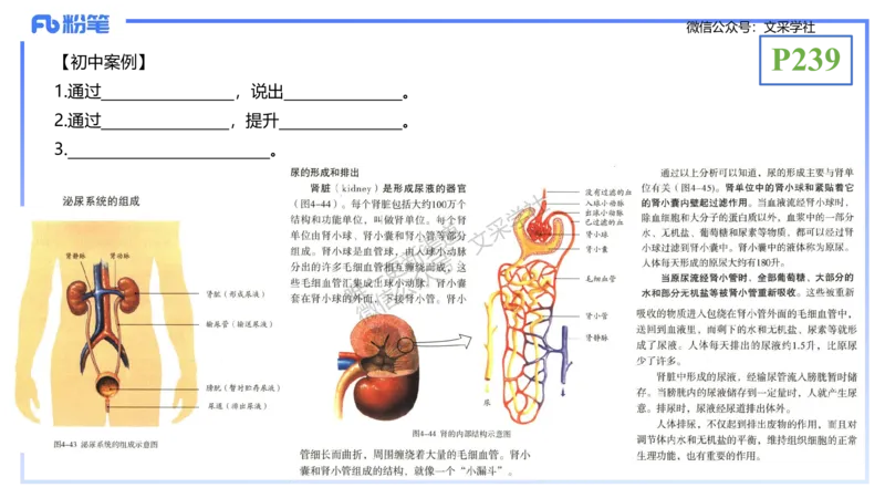 理论精讲24-教学设计-拾光_4-教培资料-26年最新资料-同步更新_初中高中教资_03科三专项（进去保存报考的学科即可）_01科目三FB网课、三色速记手册、知识点导图等推荐_初中