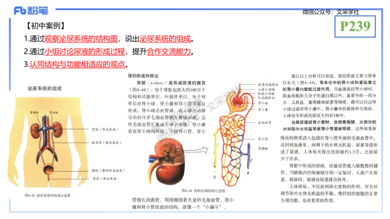理论精讲24-教学设计-拾光_4-教培资料-26年最新资料-同步更新_初中高中教资_03科三专项（进去保存报考的学科即可）_01科目三FB网课、三色速记手册、知识点导图等推荐_初中
