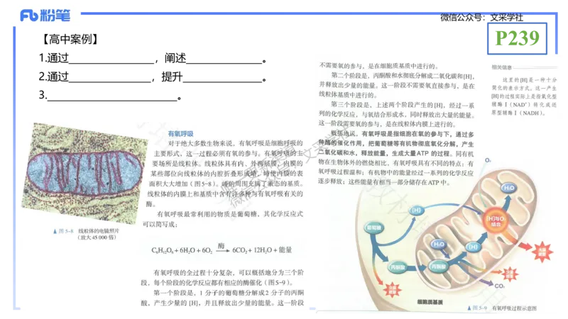 理论精讲24-教学设计-拾光_4-教培资料-26年最新资料-同步更新_初中高中教资_03科三专项（进去保存报考的学科即可）_01科目三FB网课、三色速记手册、知识点导图等推荐_初中