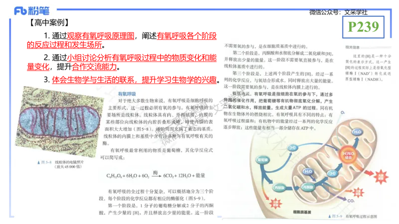 理论精讲24-教学设计-拾光_4-教培资料-26年最新资料-同步更新_初中高中教资_03科三专项（进去保存报考的学科即可）_01科目三FB网课、三色速记手册、知识点导图等推荐_初中