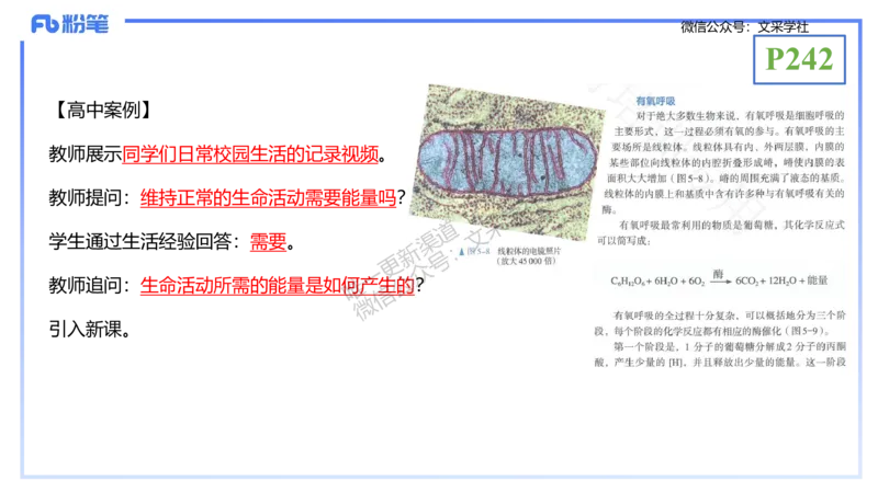 理论精讲24-教学设计-拾光_4-教培资料-26年最新资料-同步更新_初中高中教资_03科三专项（进去保存报考的学科即可）_01科目三FB网课、三色速记手册、知识点导图等推荐_初中