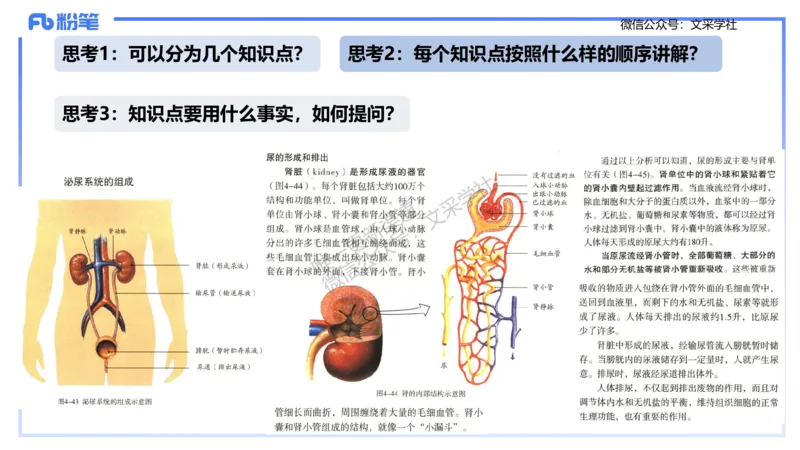 理论精讲24-教学设计-拾光_4-教培资料-26年最新资料-同步更新_初中高中教资_03科三专项（进去保存报考的学科即可）_01科目三FB网课、三色速记手册、知识点导图等推荐_初中