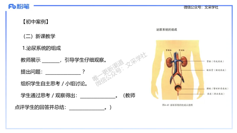 理论精讲24-教学设计-拾光_4-教培资料-26年最新资料-同步更新_初中高中教资_03科三专项（进去保存报考的学科即可）_01科目三FB网课、三色速记手册、知识点导图等推荐_初中