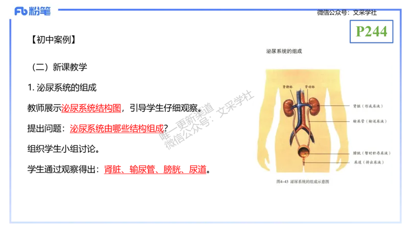 理论精讲24-教学设计-拾光_4-教培资料-26年最新资料-同步更新_初中高中教资_03科三专项（进去保存报考的学科即可）_01科目三FB网课、三色速记手册、知识点导图等推荐_初中