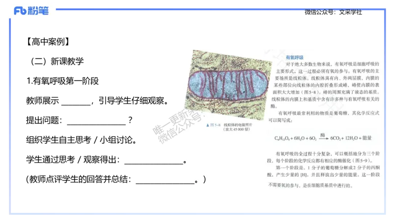 理论精讲24-教学设计-拾光_4-教培资料-26年最新资料-同步更新_初中高中教资_03科三专项（进去保存报考的学科即可）_01科目三FB网课、三色速记手册、知识点导图等推荐_初中