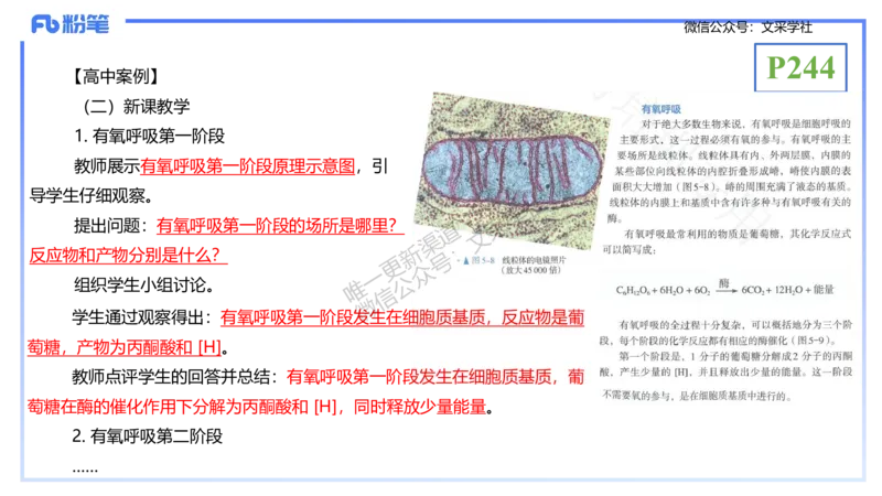 理论精讲24-教学设计-拾光_4-教培资料-26年最新资料-同步更新_初中高中教资_03科三专项（进去保存报考的学科即可）_01科目三FB网课、三色速记手册、知识点导图等推荐_初中