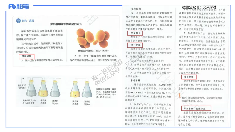 理论精讲24-教学设计-拾光_4-教培资料-26年最新资料-同步更新_初中高中教资_03科三专项（进去保存报考的学科即可）_01科目三FB网课、三色速记手册、知识点导图等推荐_初中