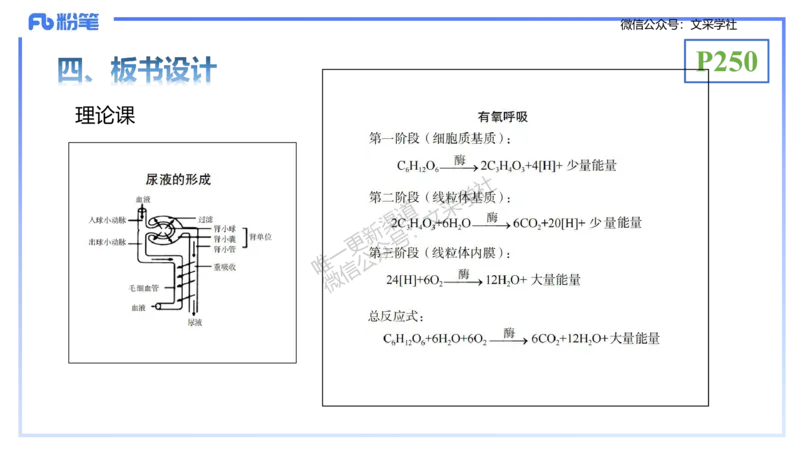 理论精讲24-教学设计-拾光_4-教培资料-26年最新资料-同步更新_初中高中教资_03科三专项（进去保存报考的学科即可）_01科目三FB网课、三色速记手册、知识点导图等推荐_初中
