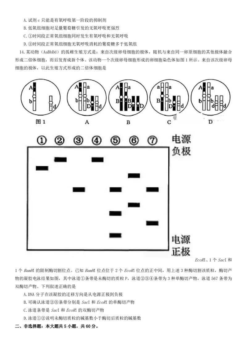 2025年福建高考生物真题及答案_1.高考2025全国各省真题+答案_00.2025各省市高考真题及答案（按省份分类）_6、福建卷（全科，持续更新）_6.生物