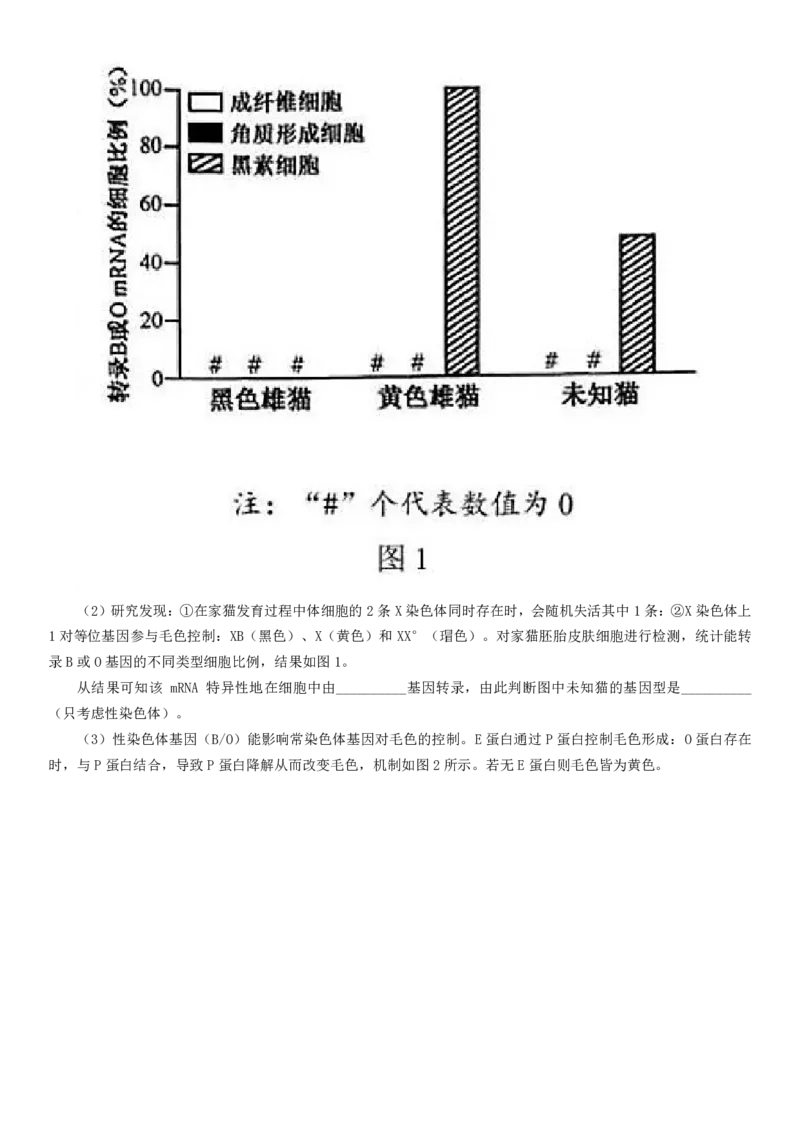 2025年福建高考生物真题及答案_1.高考2025全国各省真题+答案_00.2025各省市高考真题及答案（按省份分类）_6、福建卷（全科，持续更新）_6.生物