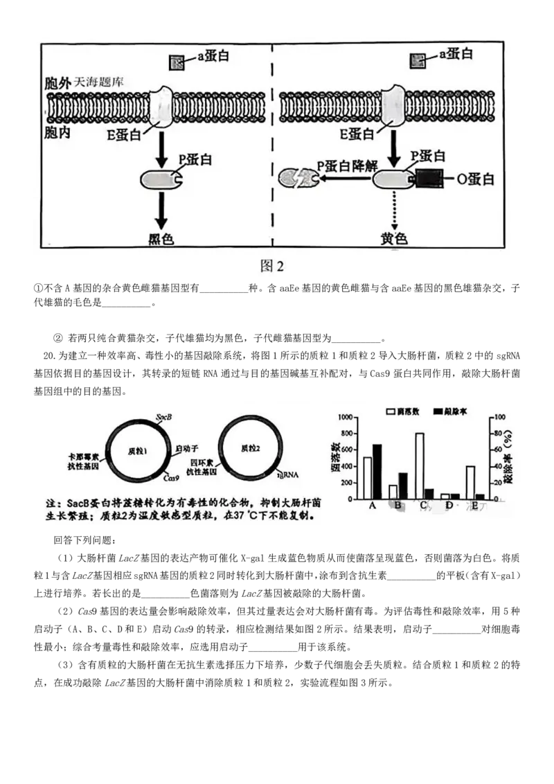 2025年福建高考生物真题及答案_1.高考2025全国各省真题+答案_00.2025各省市高考真题及答案（按省份分类）_6、福建卷（全科，持续更新）_6.生物