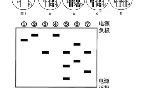 2025年福建高考生物真题及答案_1.高考2025全国各省真题+答案_00.2025各省市高考真题及答案（按省份分类）_6、福建卷（全科，持续更新）_6.生物