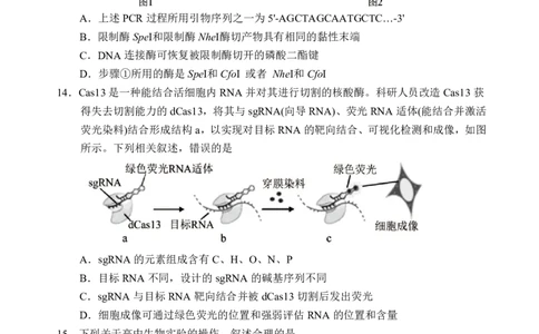 生物试卷+答案_2025年7月_250711福建省南平市2024-2025学年第二学期高二下期末质量检测试卷(全科）