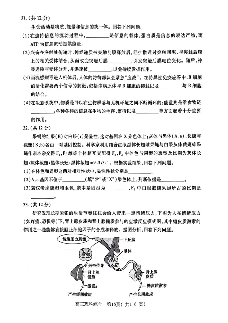 扫描件_理科综合_2024届河南省四市许济洛平高三第二次质量检测_河南省四市许济洛平2024届高三第二次质量检测理综